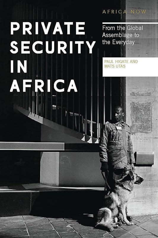 Private Security in Africa: From the Global Assemblage to the Everyday (Africa Now) by Doctor Paul Higate