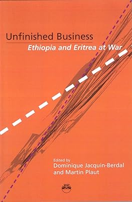 Unfinished Business: Ethiopia And Eritrea At War