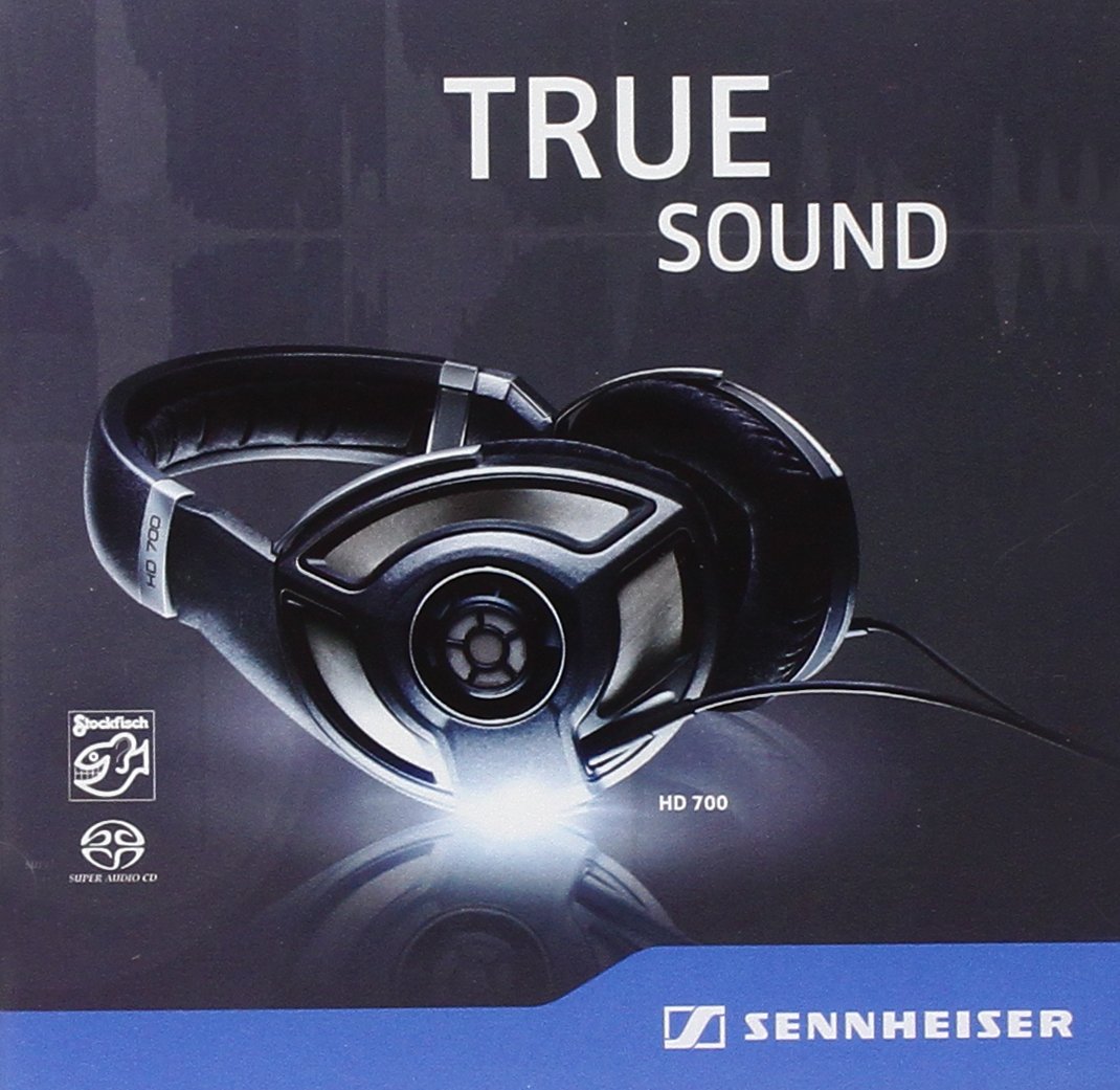sennheiser hd 700-true sound
