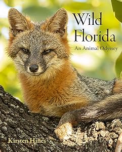 Wild Florida: An Animal Odyssey by Kirsten Hines