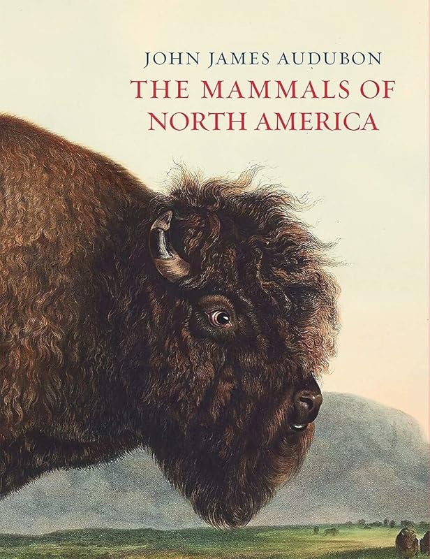 The Mammals of North America by John James Audubon