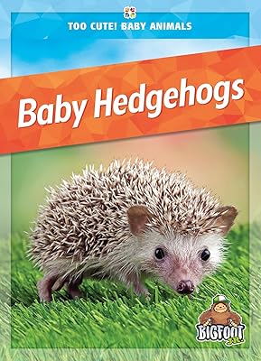 Baby Hedgehogs