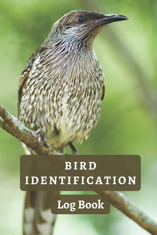 Bird Identification Log Book: With Professional Interiors To Keep Track Of All The Details - 120 Pages - Bird Identification Tracker by Loren Sky Publishing