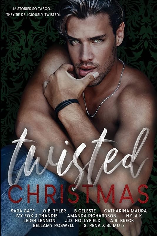 Twisted Christmas by Sara Cate