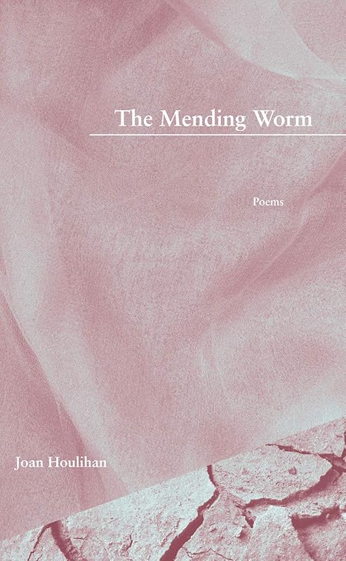 The Mending Worm by Joan Houlihan