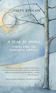 A Year of Moons: Stories From The Adirondack Foothills