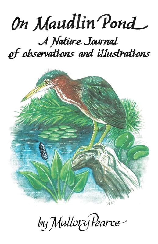 On Maudlin Pond: A Nature Journal of Observations and Illustrations by Mallory Pearce