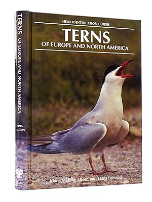 Terns