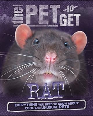 Rat (Pet to Get)