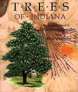 Trees of Indiana: Original Paintings by Maryrose Wampler by Maryrose