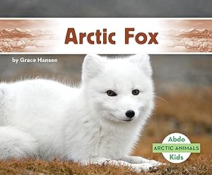 Arctic Fox (Arctic Animals)