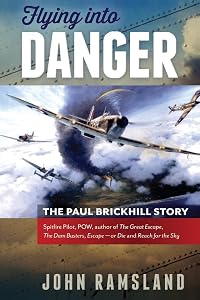 Flying Into Danger by John Ramsland