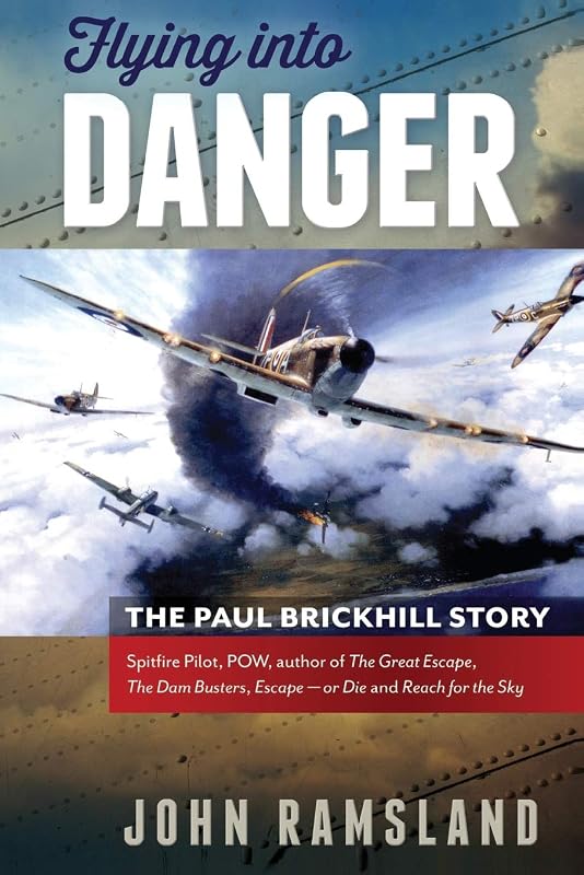 Flying Into Danger by John Ramsland