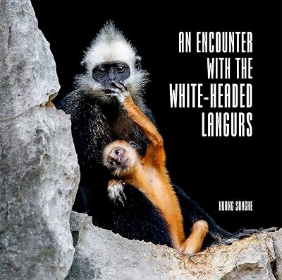 An Encounter with The White-Headed Langurs