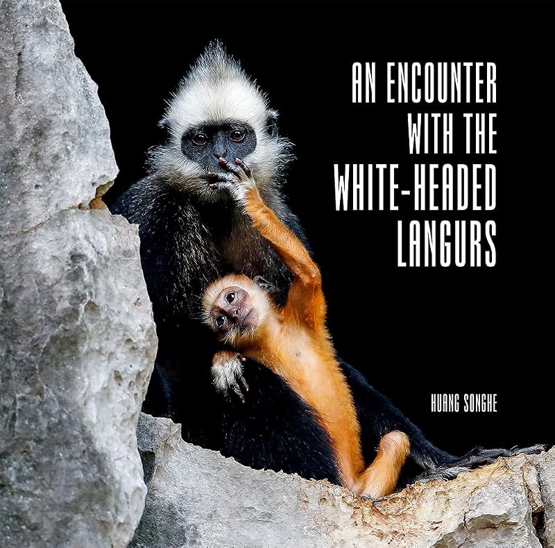An Encounter with The White-Headed Langurs by Songhe Huang