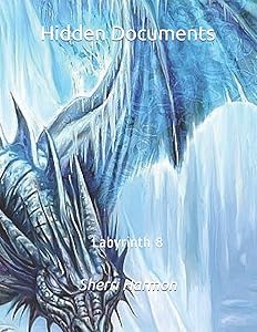 Hidden Documents: Labyrinth 8