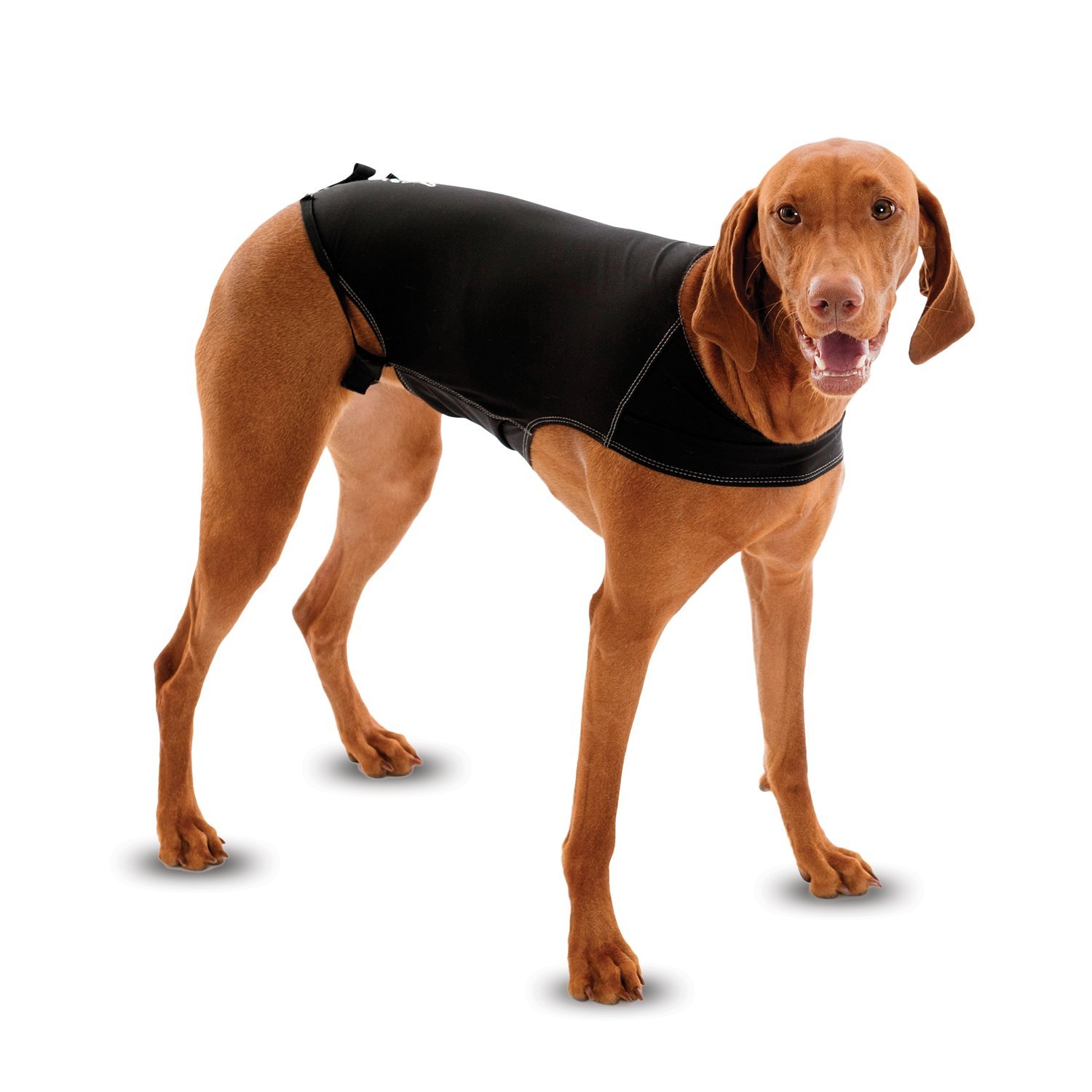 

The Company of Animals Anxiety Wrap