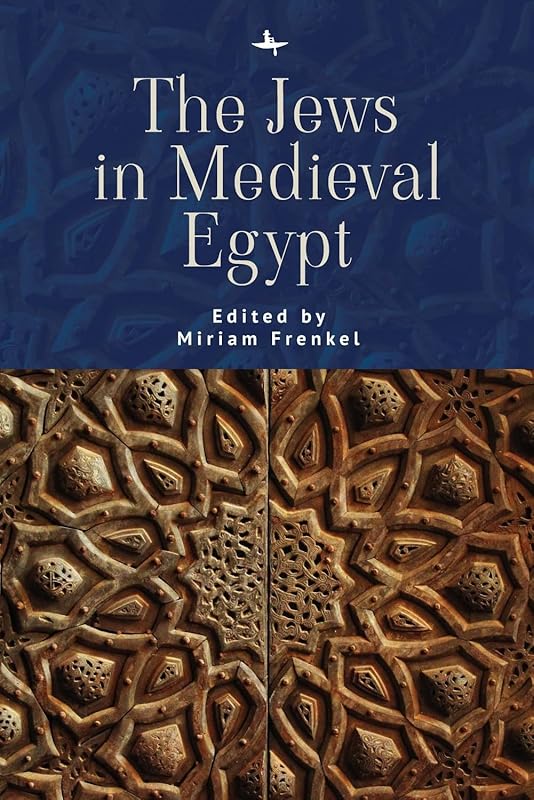 The Jews in Medieval Egypt (The Lands and Ages of the Jewish People) by Miriam Frenkel