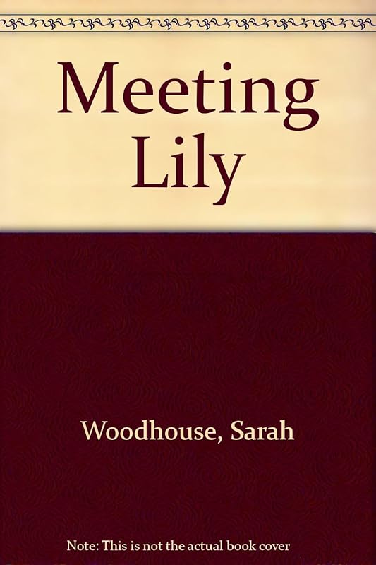 Meeting Lily by Sarah Woodhouse