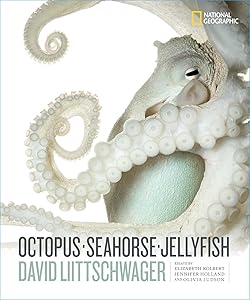 Octopus, Seahorse, Jellyfish by David Liittschwager