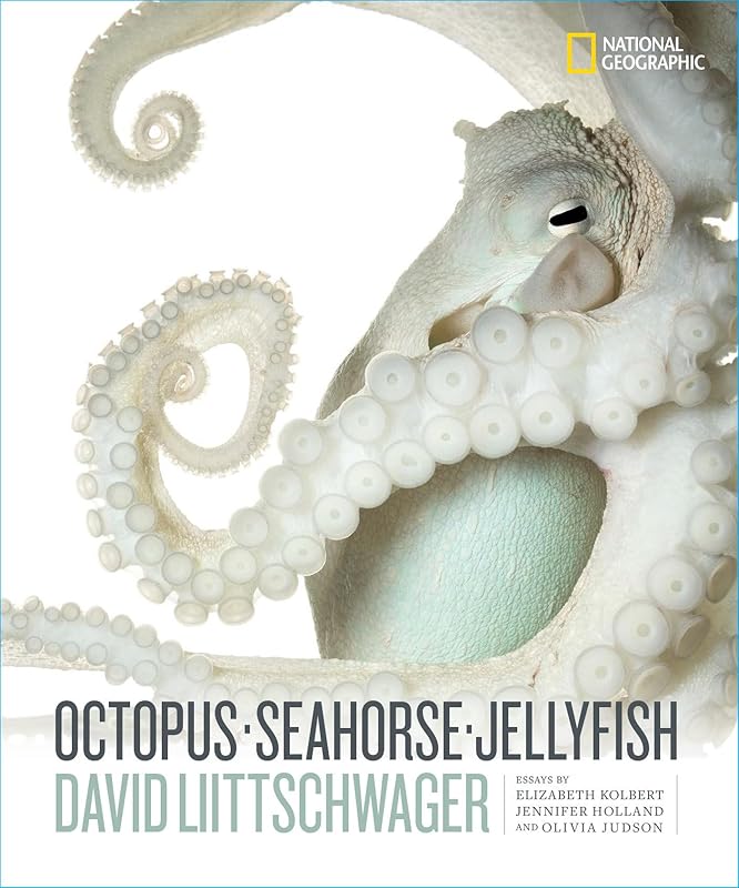 Octopus, Seahorse, Jellyfish by David Liittschwager