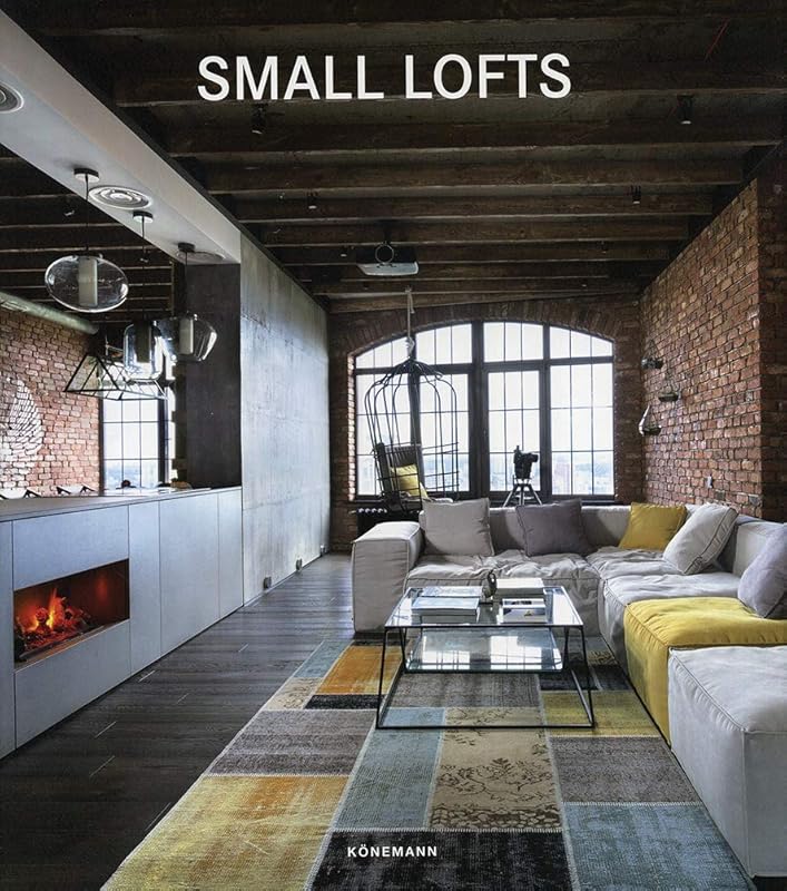 Small Lofts (Contemporary Architecture & Interiors) by Claudia Martinez Alonso