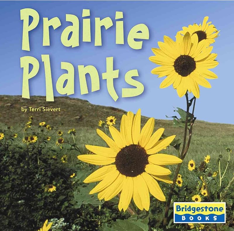 Prairie Plants (LIFE IN THE WORLD'S BIOMES) by Terri Sievert