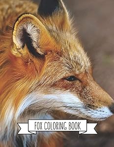 Fox Coloring Book: Fox Lover Gifts for Toddlers, Kids Ages 4-8, Girls Ages 8-12 or Adult Relaxation | Cute Stress Relief Animal Birthday Coloring Book Made in USA