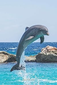 LOVELY DOLPHIN: Discreet Password Book With Alphabetical Order, 6x9" Internet Address & Password Keeper & Organizer Logbook To Remember Your Internet ... Password, Mobile Phone And Notes - 132 Pages