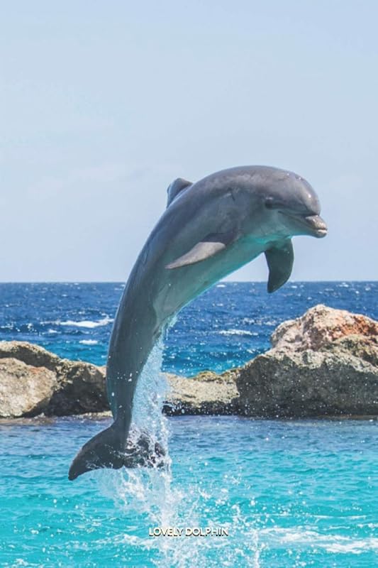 LOVELY DOLPHIN: Discreet Password Book With Alphabetical Order, 6x9" Internet Address & Password Keeper & Organizer Logbook To Remember Your Internet ... Password, Mobile Phone And Notes - 132 Pages by My Lovely Pet Publishing