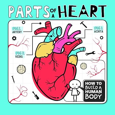 Parts of a Heart (How to Build a Human Body)