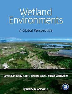 Wetland Environments: A Global Perspective by James S. Aber