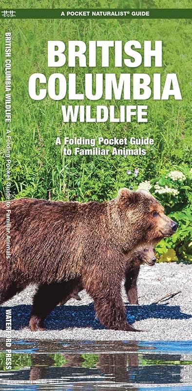 British Columbia Wildlife: A Folding Pocket Guide to Familiar Animals (Nature Observation North America) by James Kavanagh Waterford Press