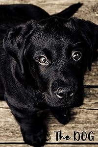 The DOG: Personal Password Keeper with Alphabetical Tabs by JamesPeter Studio