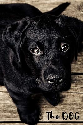 The DOG: Personal Password Keeper with Alphabetical Tabs