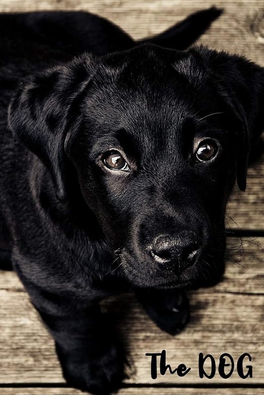 The DOG: Personal Password Keeper with Alphabetical Tabs by JamesPeter Studio