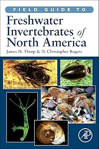 Field Guide to Freshwater Invertebrates of North America (Field Guide To... (Academic Press)) by James H. Thorp