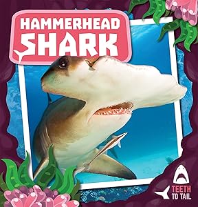 Hammerhead Shark (Teeth to Tail)
