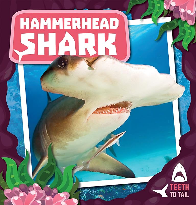 Hammerhead Shark (Teeth to Tail) by Robin Twiddy