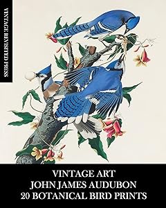 Vintage Art: John James Audubon: 20 Botanical Bird Prints by Vintage Revisited Press