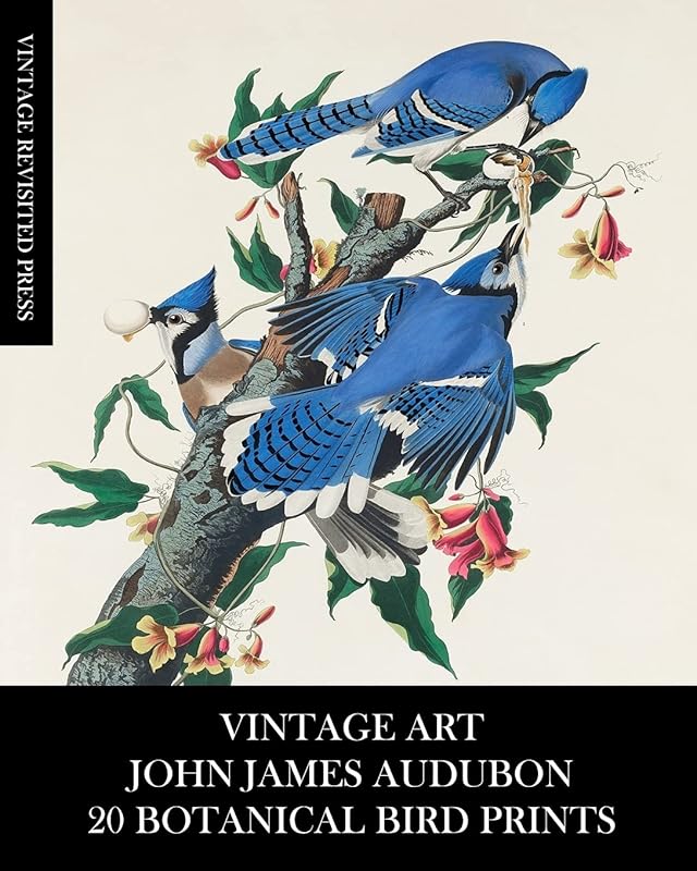 Vintage Art: John James Audubon: 20 Botanical Bird Prints by Vintage Revisited Press