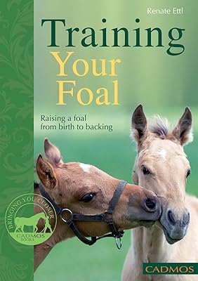 Training Your Foal: Raising a Foal From Birth to Backing