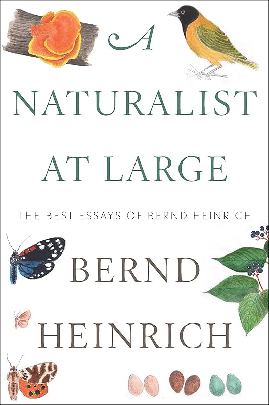 A Naturalist at Large: The Best Essays of Bernd Heinrich by Bernd Heinrich