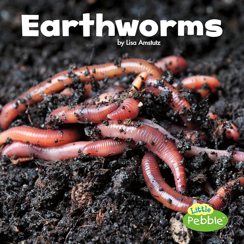 Earthworms (Little Critters) by LISA J AMSTUTZ