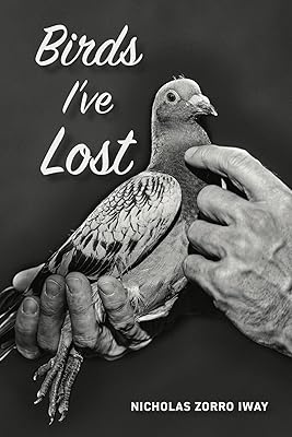 Birds I've Lost