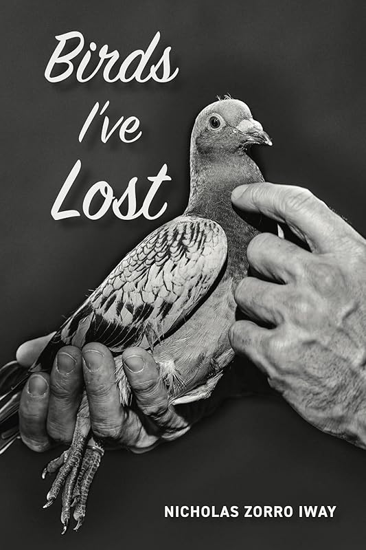 Birds I've Lost by Nicholas Iway