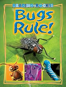 Bugs Rule! (Reading Rocks!)
