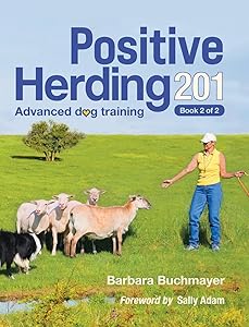 Positive Herding 201 (Positive Herding Dog) by Barbara Buchmayer