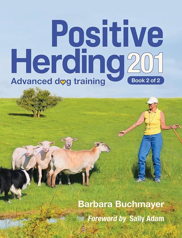 Positive Herding 201 (Positive Herding Dog) by Barbara Buchmayer