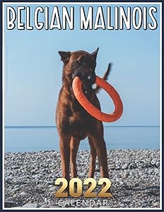 Belgian Malinois Calendar 2022: 13 Month Calendar Planner, Gift Idea For Women, Men Belgian Malinois Owners & Lovers by Milagra Gwala Print